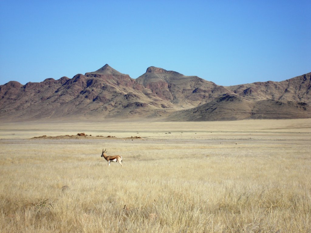 NamibRand Nature Reserve by Johan Nel