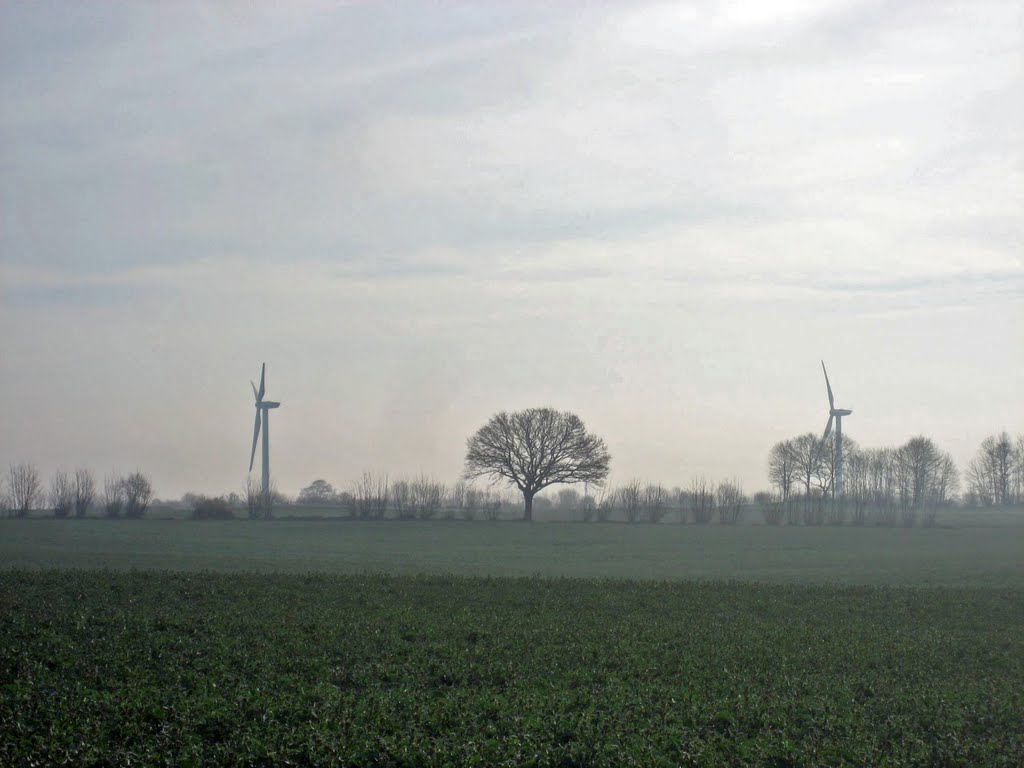 Weyhe - Windräder, Hecken und Baum im Morgendunst by Andreas-Müller - NO VIEWS