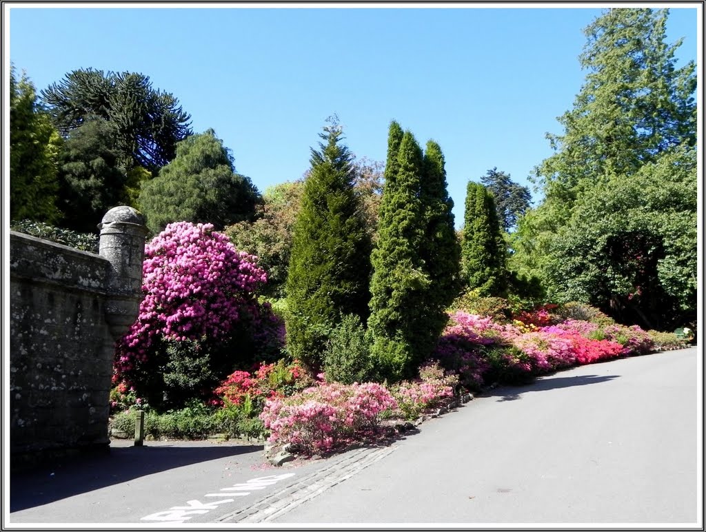 Balloch-Castle Country Park (Chinese Garden) by grojec