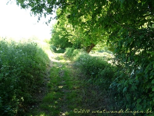 Wandelen in Nédon by Westwandelingen, GPS wandelroutes