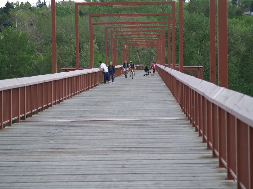 North Saskatchewan River Valley foot bridge connecting north and south east Edmonton by raynorshine