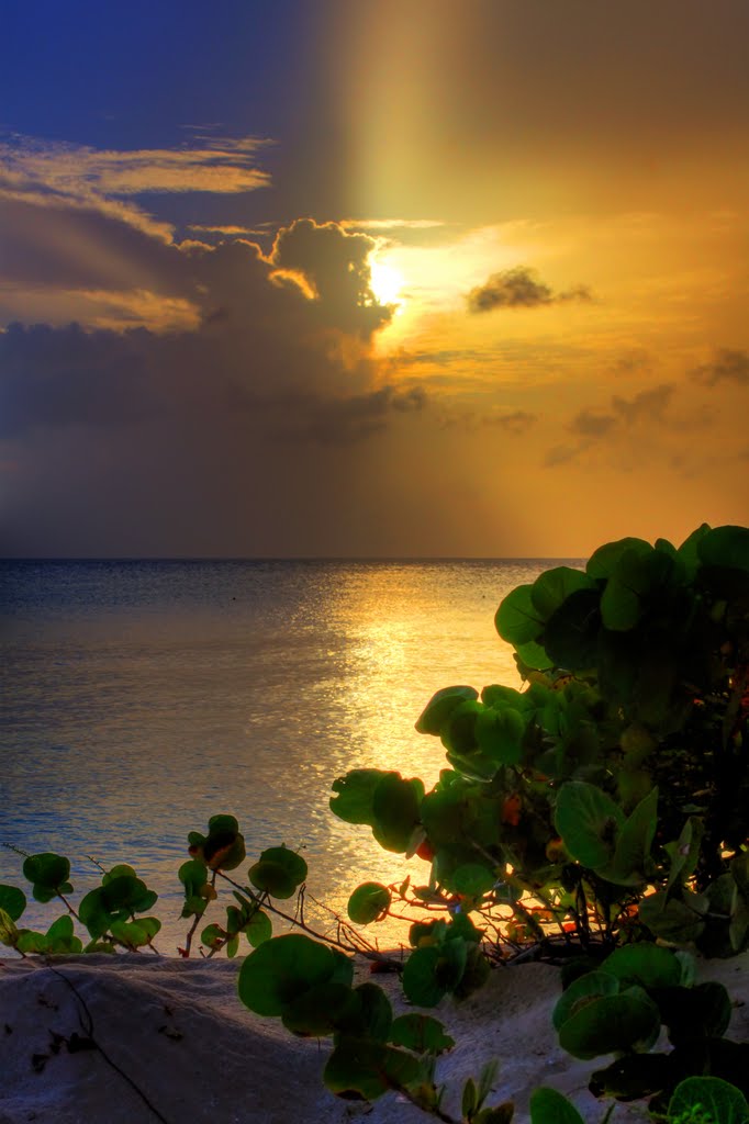 Barbados Sunset by Ryan Hills Photography