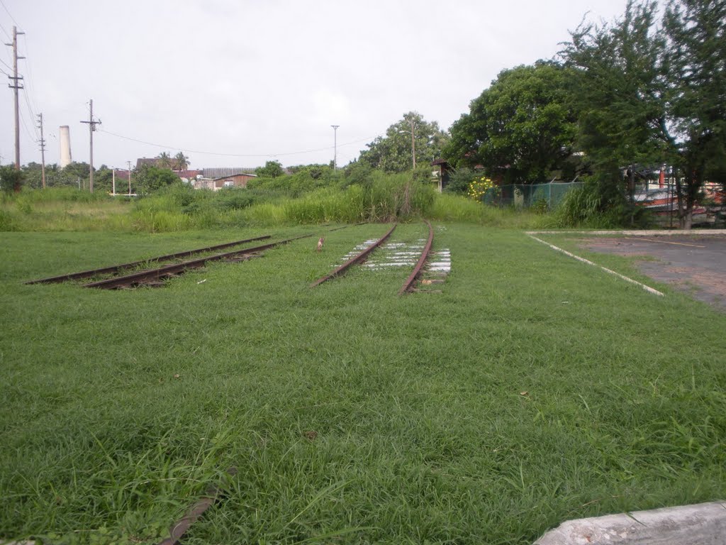 Salida de la estación, Tren del Sur, Arroyo by cavenaghi9