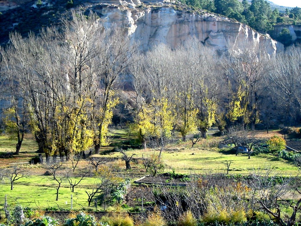 TERRERO DE LAS HORCAS EN INVIERNO DE 2002 by apostolos granpuente