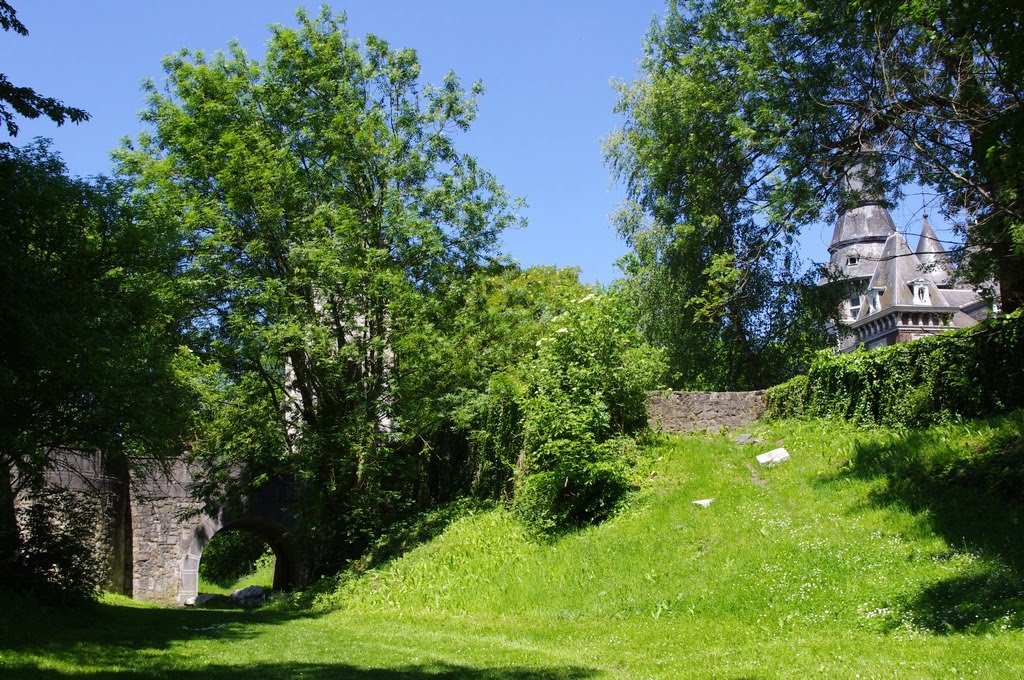 Douves château Bivort by SLaurent