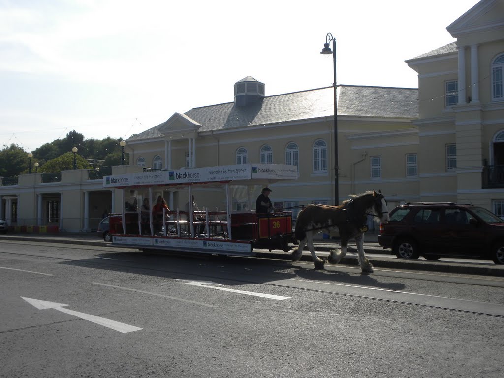 Horse tram by Kristina Vass