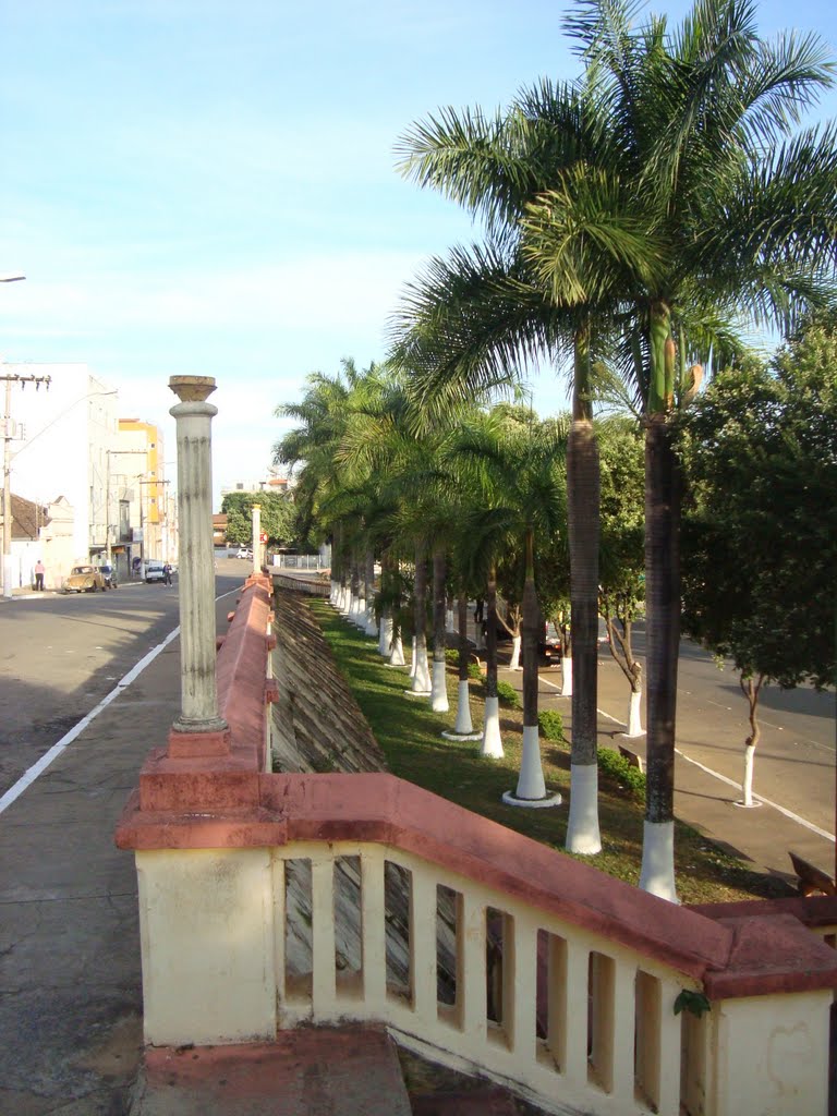 Coqueiros na Praça (...), Bom Despacho, MG by André Moises