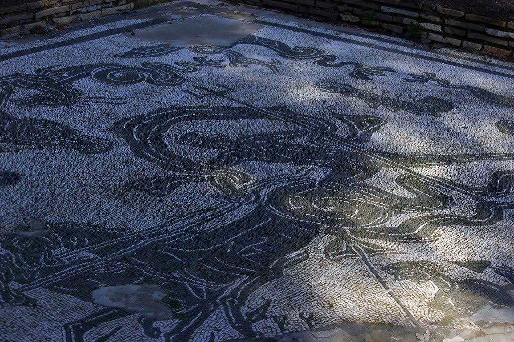 Villa di Plinio - Terme con mosaico rappresentante Nettuno circondato da fauna marina mentre guida un ippocampo by Bepix (Giuseppe de Giacometti)