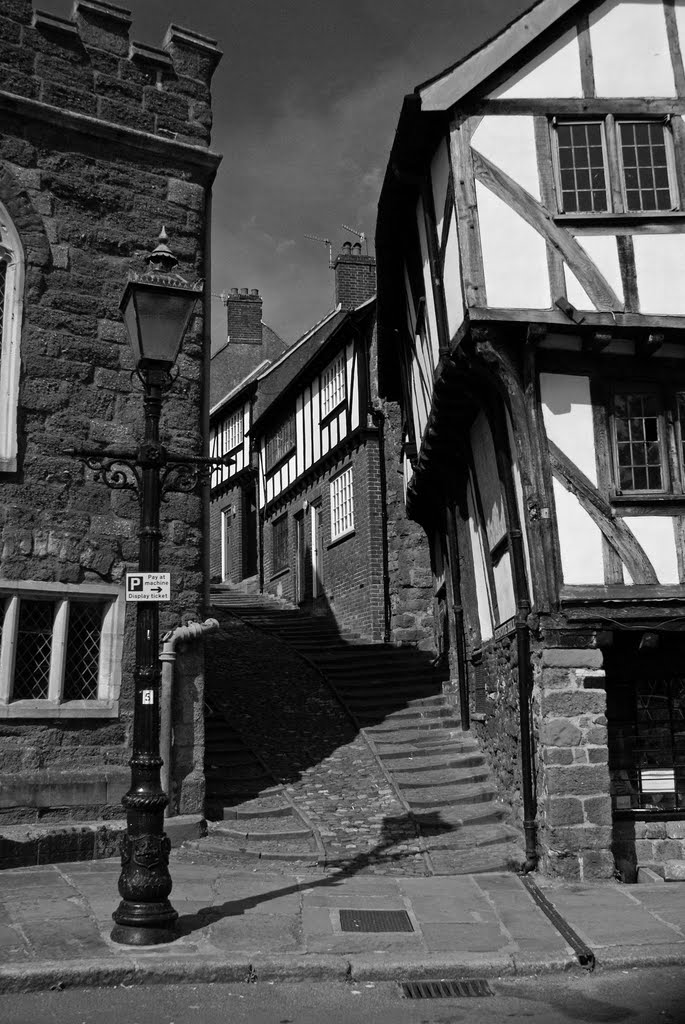 Stepcote Lane, Exeter. by andrewhead