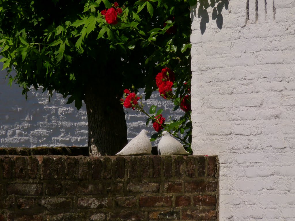 Les oiseaux et les roses by Rudy Pické