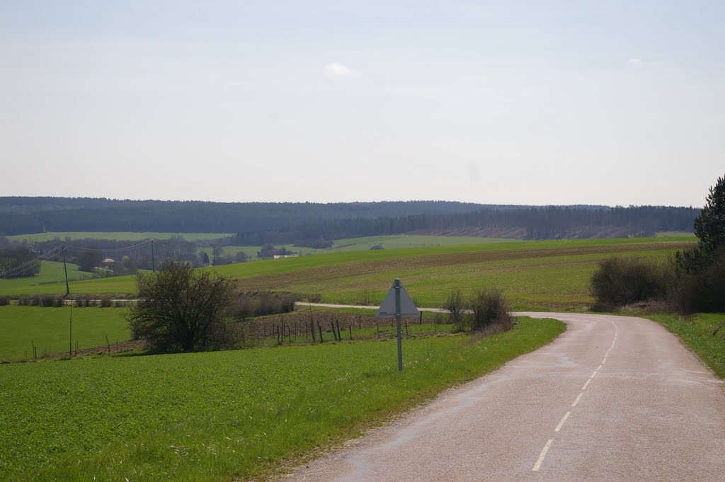 Blick von Malancourt (südl.) Richtung Esnes en Argonne (östl. Höhe 304) by Senija