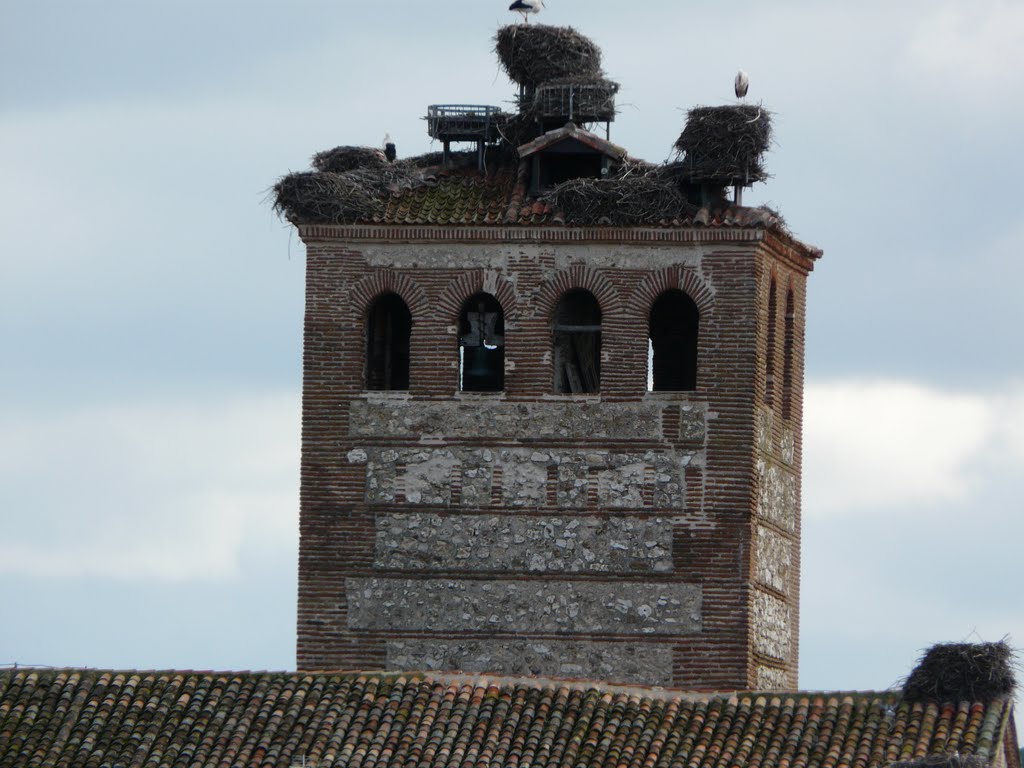 Cigueñas de Mojados by eltorito