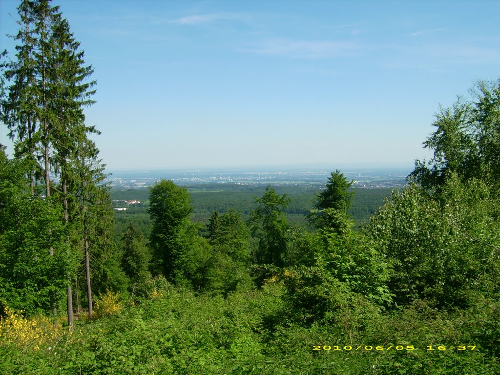 Eichkopf Hang, blick richtung Rhein-Main by ta1 !