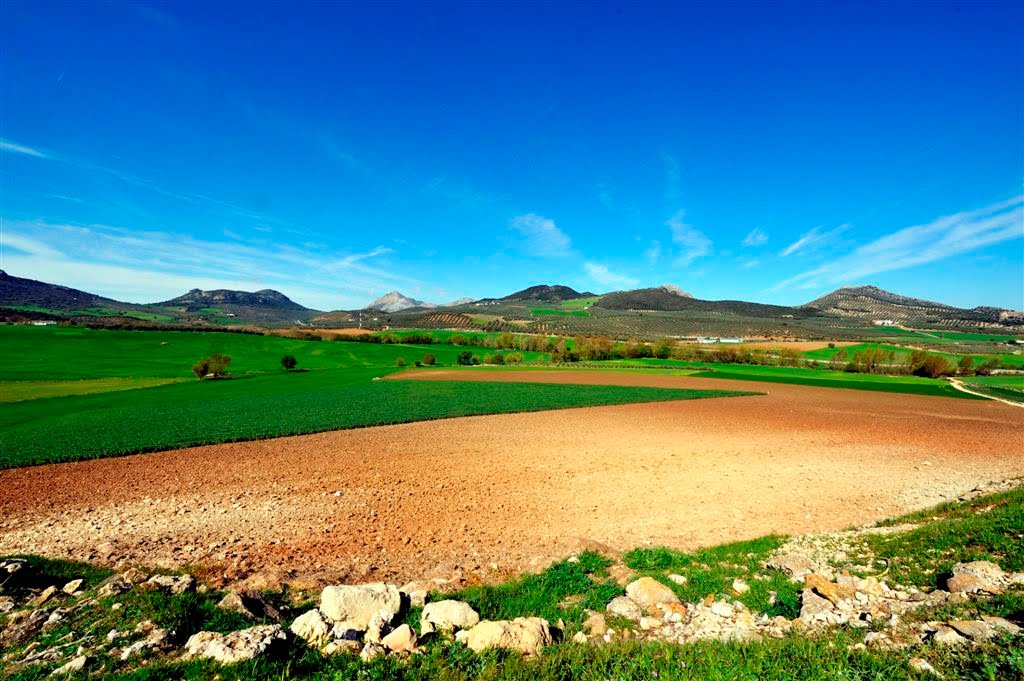 Rural spain by Nick Weall