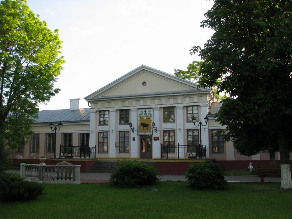 Tyzengaus palace: main entrance by sergej-ka