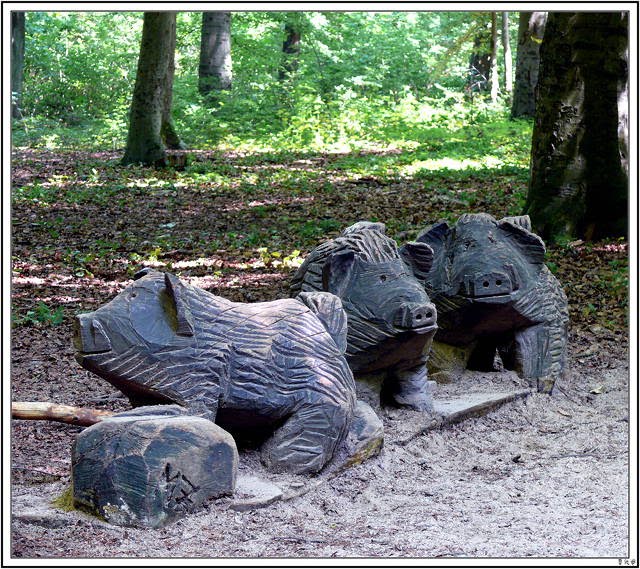 Tierpark Dünnwald by -=CMB=-