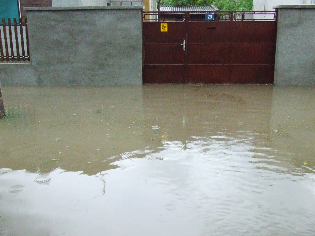 Naša kuća,kiša 2007. - Our House,rain 2007. by belabso67