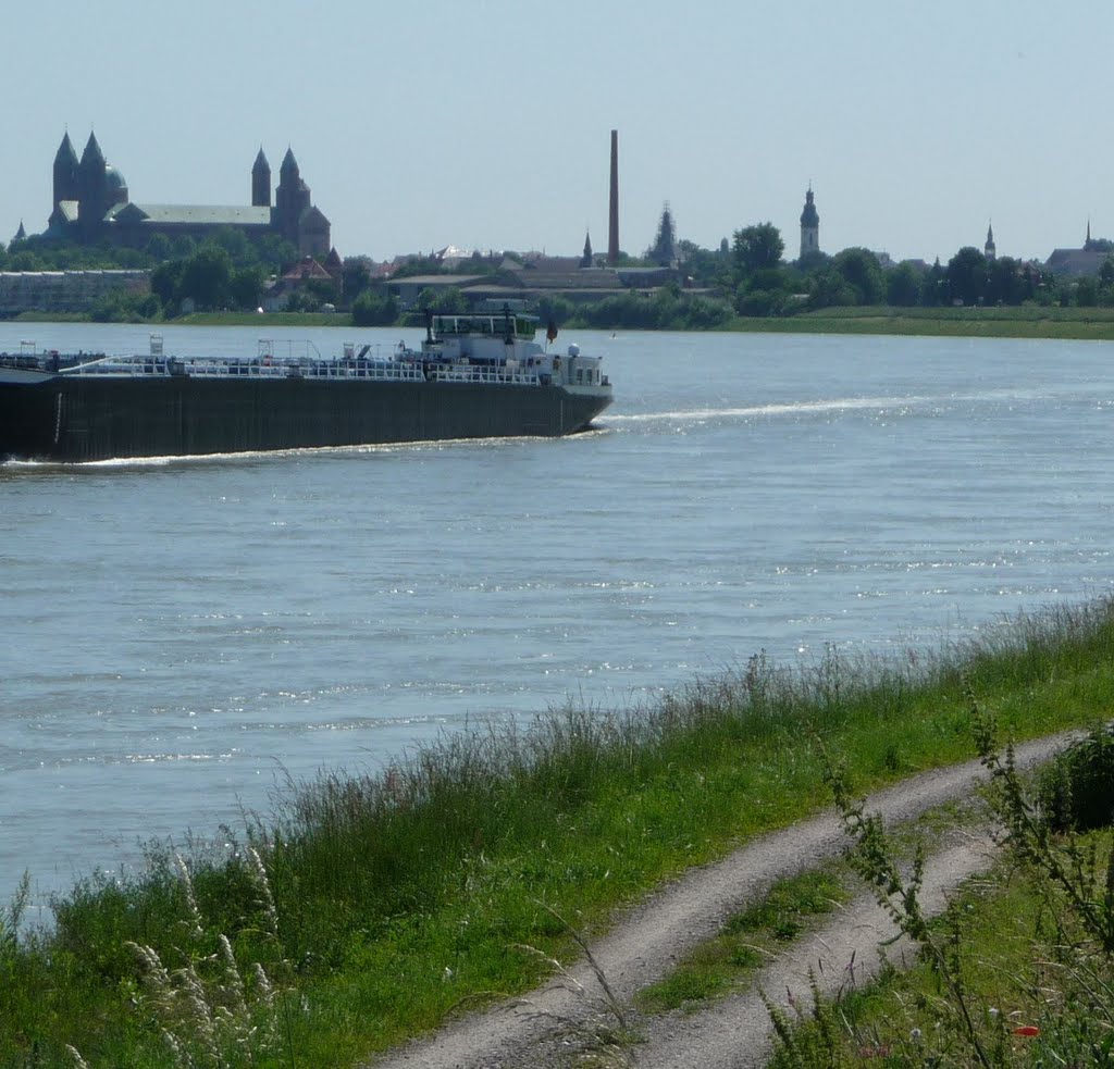 Dom, Rhein und Schornstein by Immanuel Giel