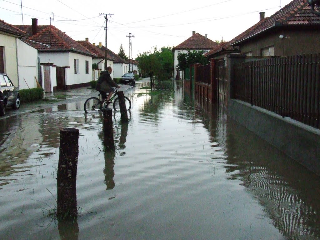 R.Luksemburg, kiša 2007.-R.Luksemburg, rain 2007. by belabso67