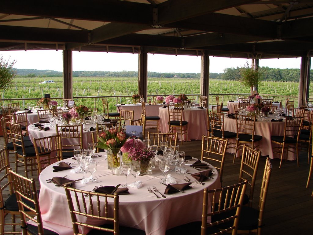 Reception Dinner overlooking the Macari Vineyard by walmond217