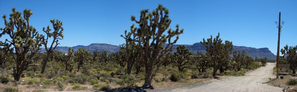 Meadview. Nación Hualapai. Arizona by CHATarrero