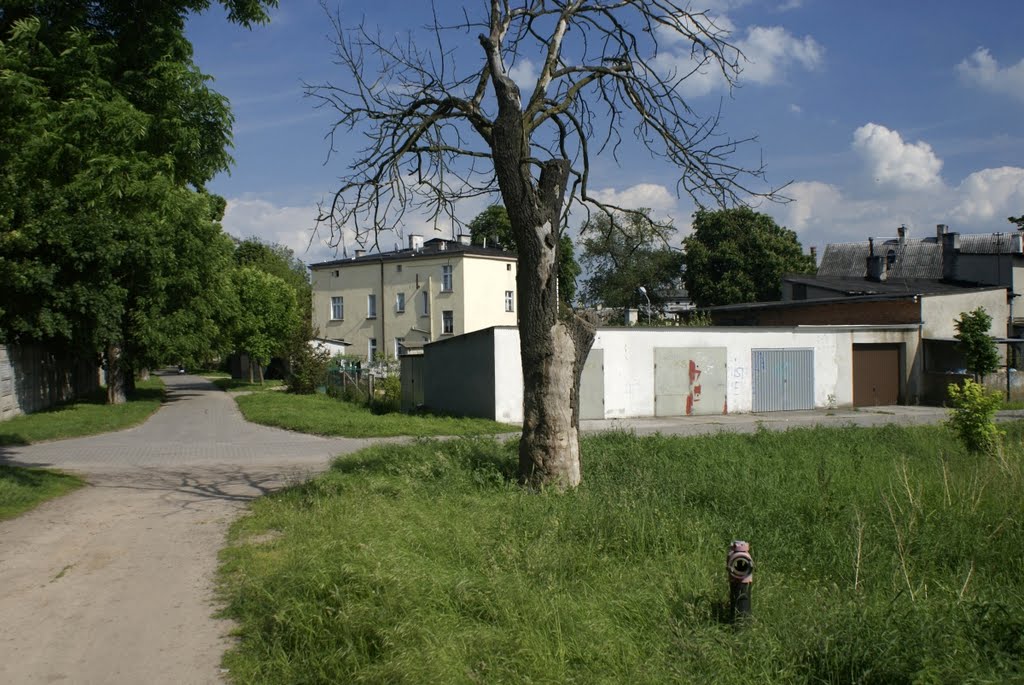 Pakość. Kuyavia. Poland. by wurkut