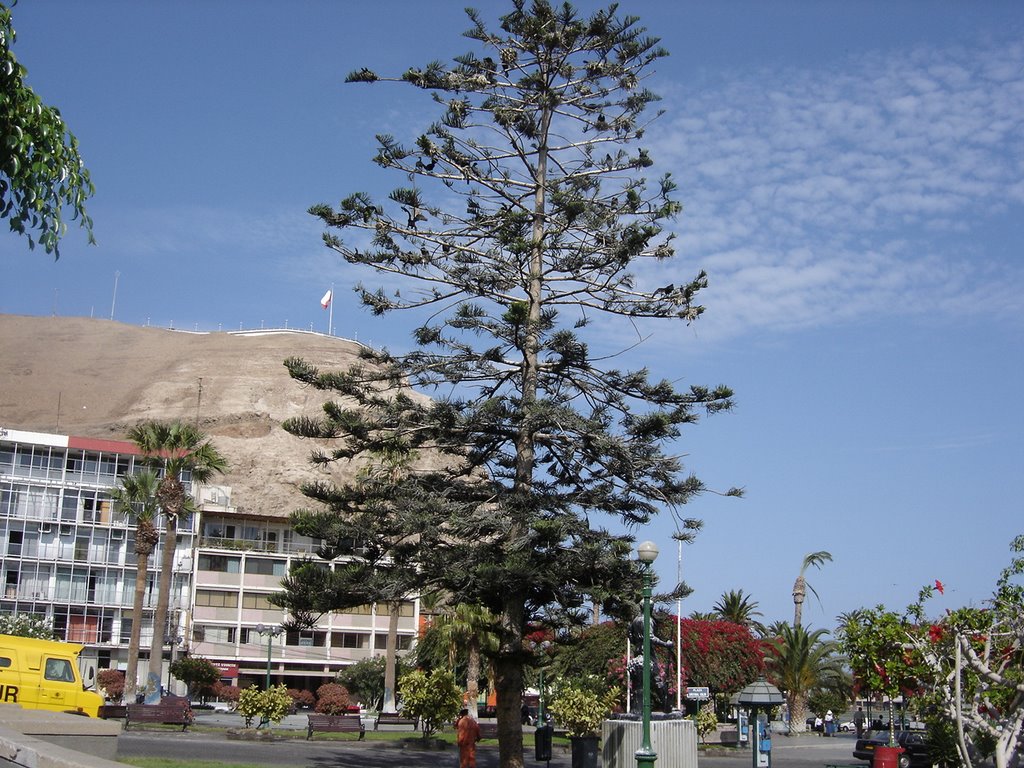 El Morro desde plaza by Ricardo Martini