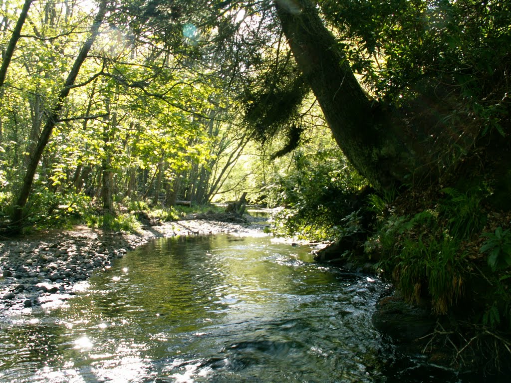 Kildary river by Ross McEwan