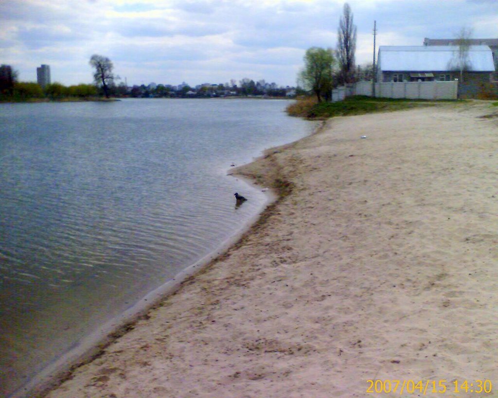 Raiduzhnyi lake, beach by fomenko.e