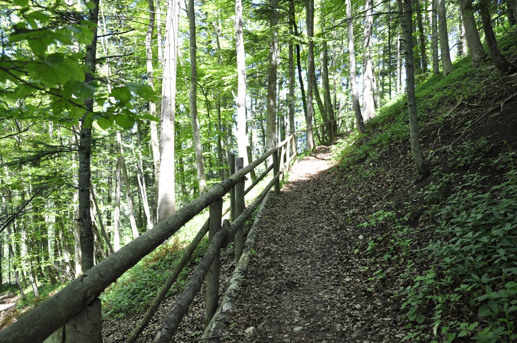 Auf dem Weg zum Lupfenturm by Herbij