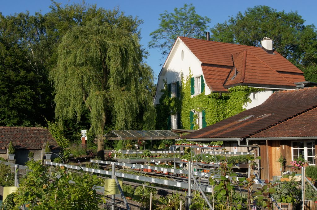 Biogärtnerei Neubauer, Erlen by Thomas Merz-Abt