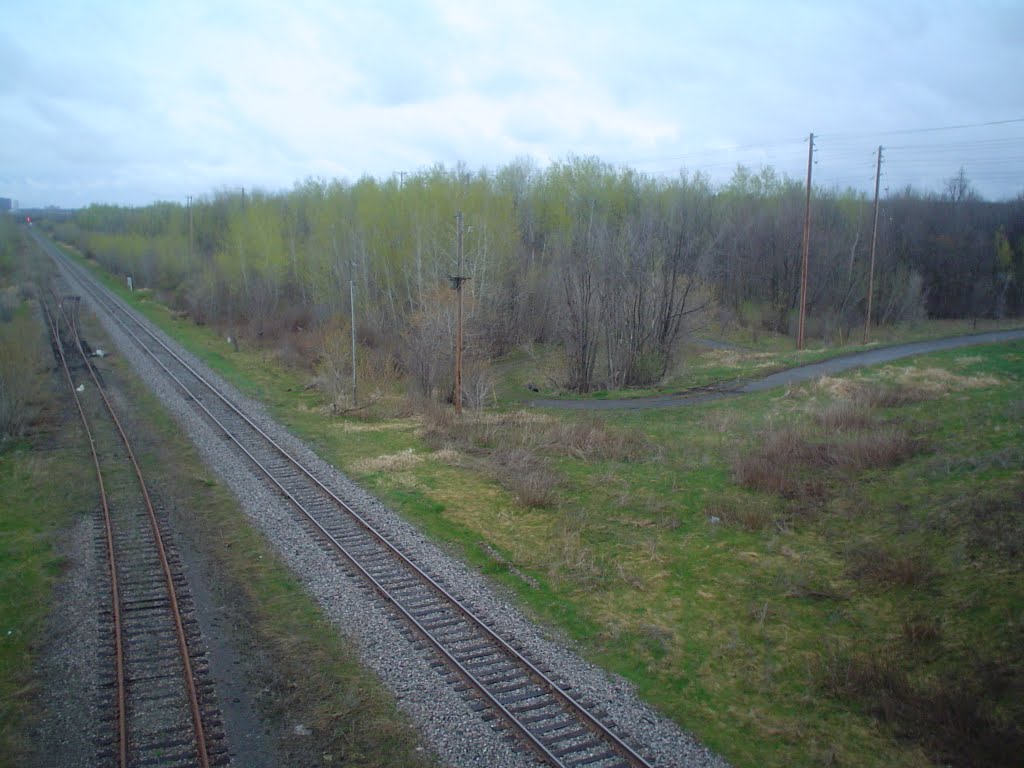 Train tracks under Walkley near 417. by Pete___B