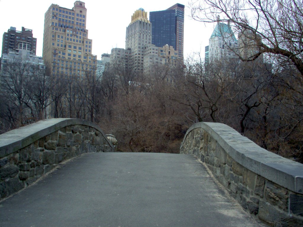 Gapstow Bridge crossing Central Park pond New York by Manuel Santiago