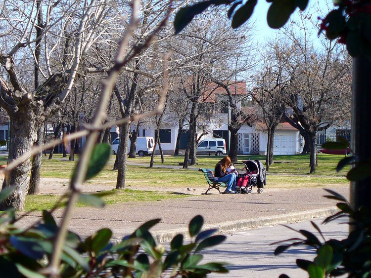 Mediodía de invierno en plaza azcuénaga by nestor_lp