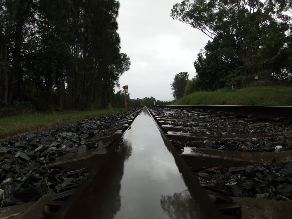 Looking North along the Rail Line by Adrian Lehmann