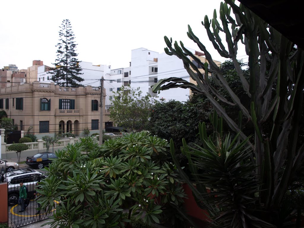 The garden of Hotel Antigua, Av. Grau 350 in Miraflores by Hans R van der Woude