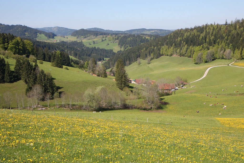 Vallon jurassien près de Montlebon by Alain Boulanger