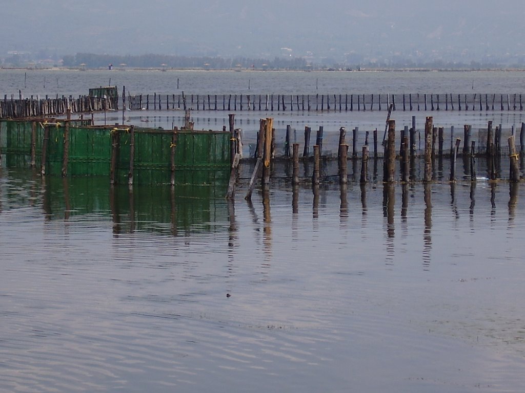 Fishing barrier traps by G.Katselis