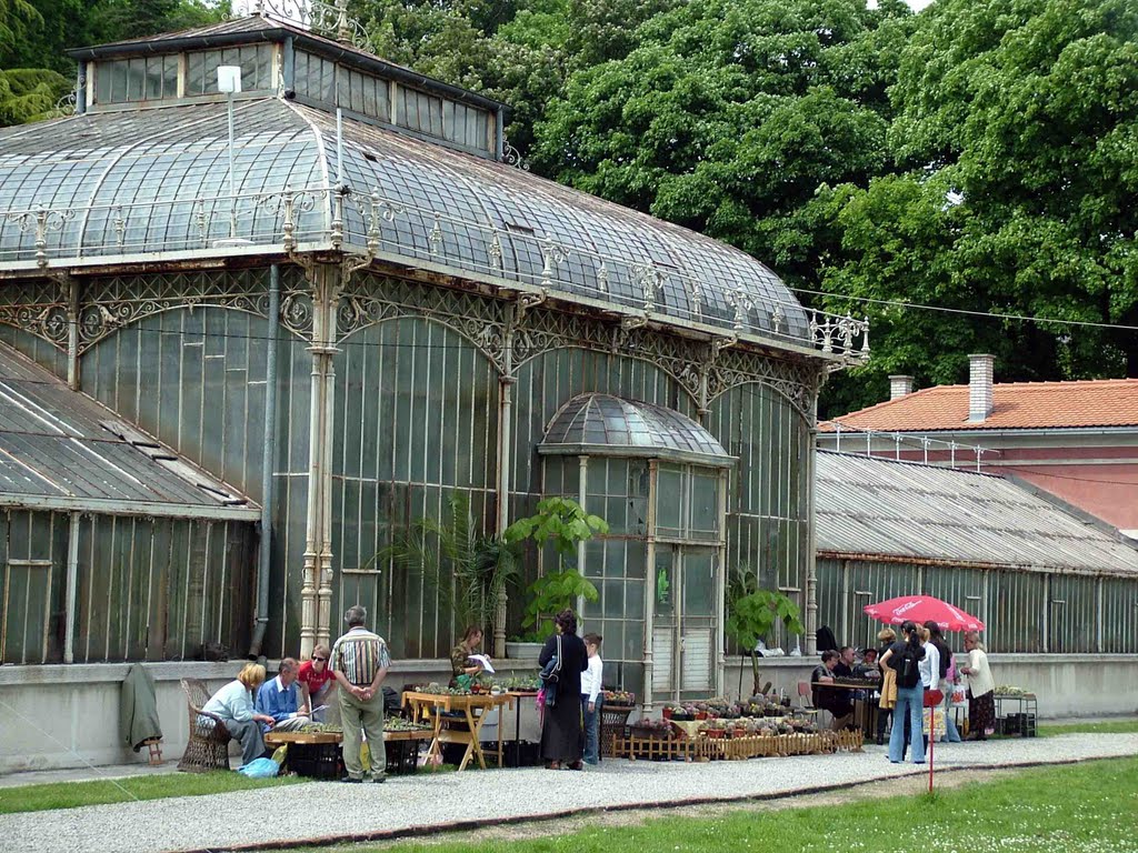 Izložba kaktusa u Botaničkoj Basti Beograd by Teča sa Dunava