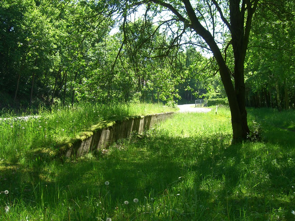 Haltepunkt Niederreinsberg " Laderampe " by Schmalspur Sa.