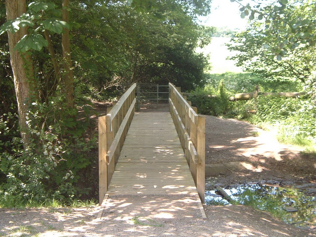 The brand new bridge, at Great Sheldons Coppice by Robert'sGoogleEarthPictures