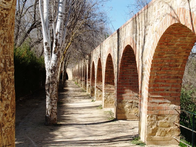 En el parque- Albendín by Espartero