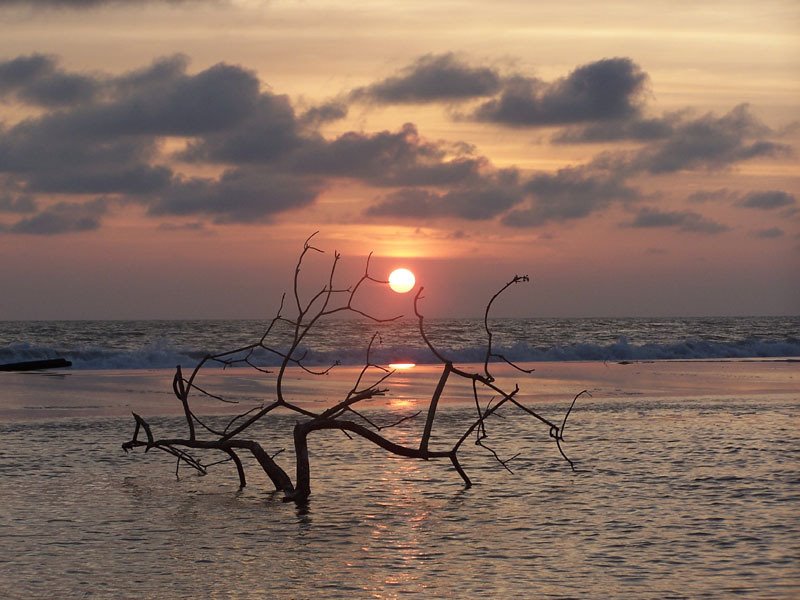 Sunset at La Barra by anigozanthos