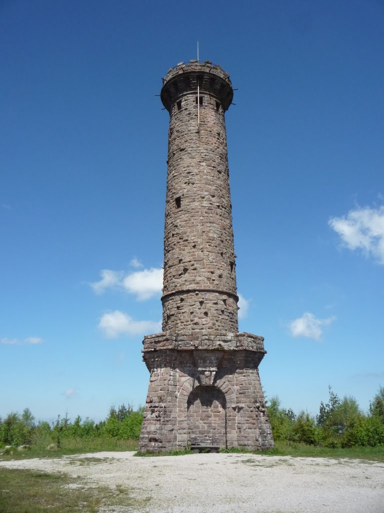 Friedrichturm auf der Badener Höhe by ©Bke