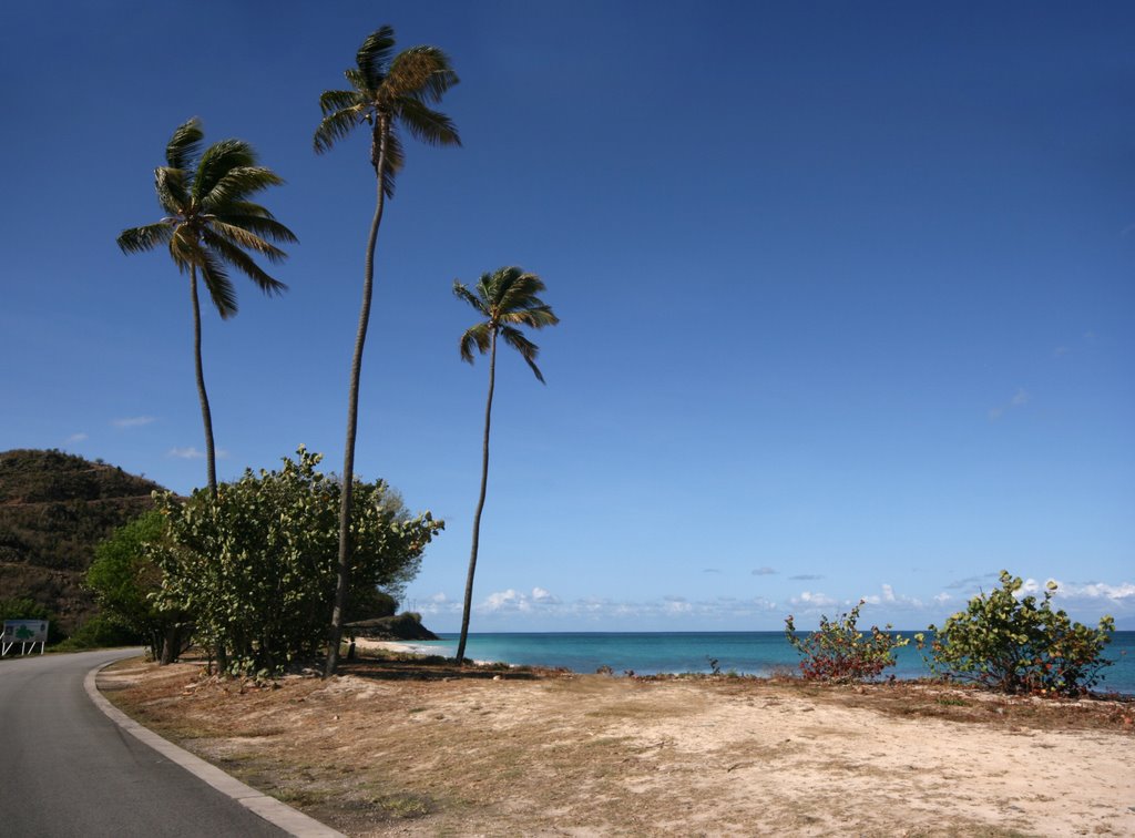 Darkwood Beach by BlueWaters