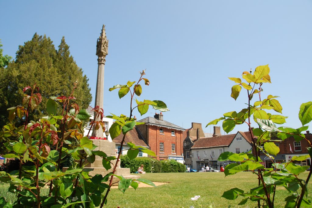 Wimborne Minster by SPJ58