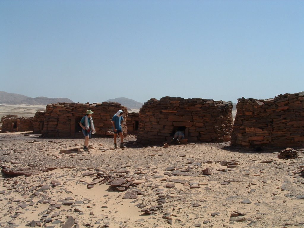 "Nawamis" in Wadi Hagag, Sinai, Egypt - May 2003 - נואמיס בואדי חגג, סיני by noam_perry