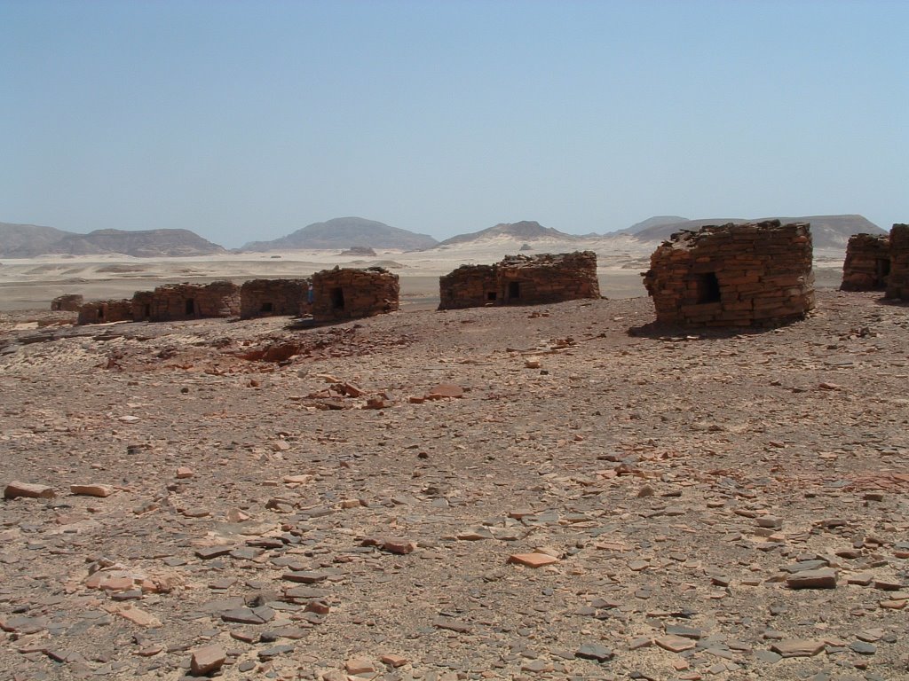 "Nawamis" in Wadi Hagag, Sinai, Egypt - May 2003 - נואמיס בואדי חגג, סיני by noam_perry