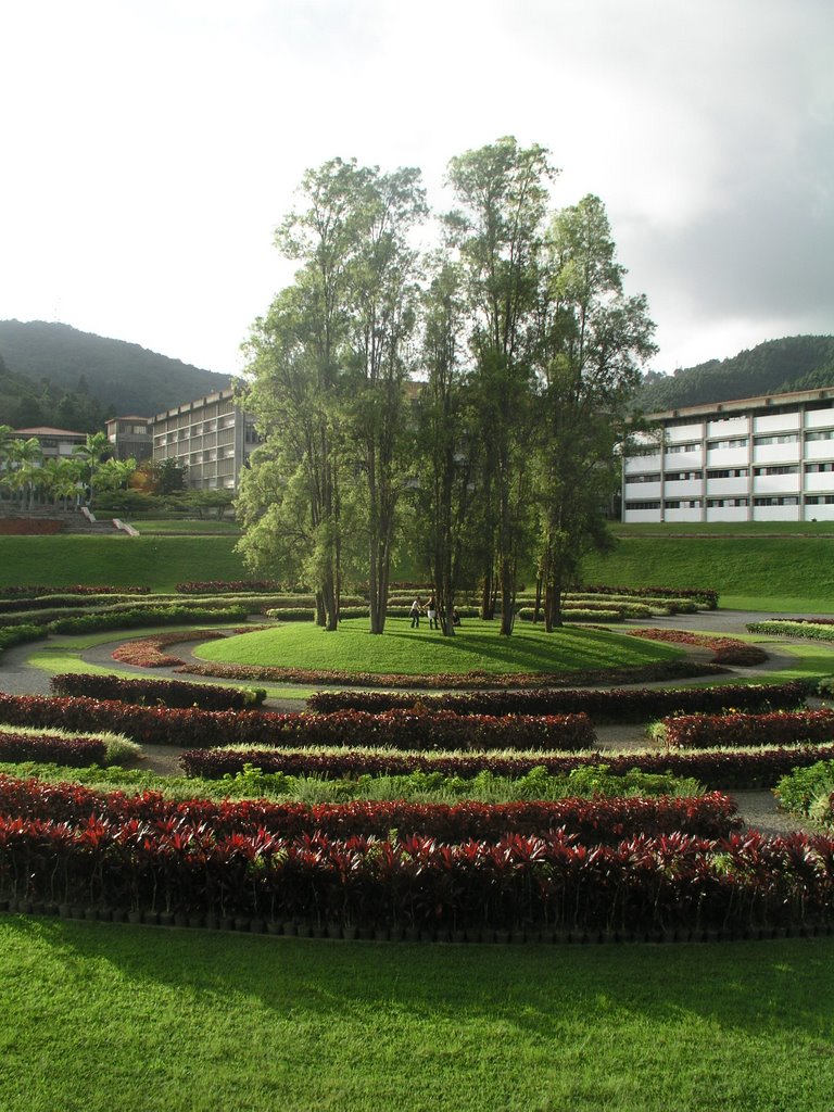 Laberinto Cromo-Vegetal, Universidad Simón Bolívar by Jose Miguel Renom