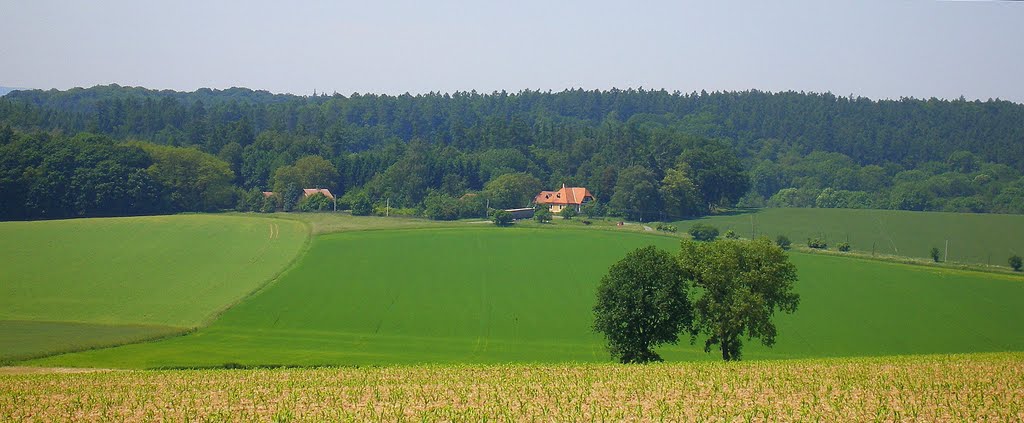 Hájenka "Kluče" - pohled od Kaple Sv.Rocha (poblíž Úsov) by valsoraj